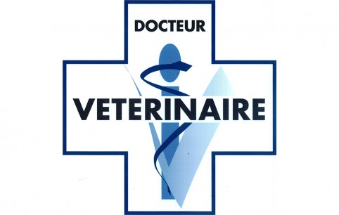 Clinique vétérinaire <br> REMER & MAGNIN