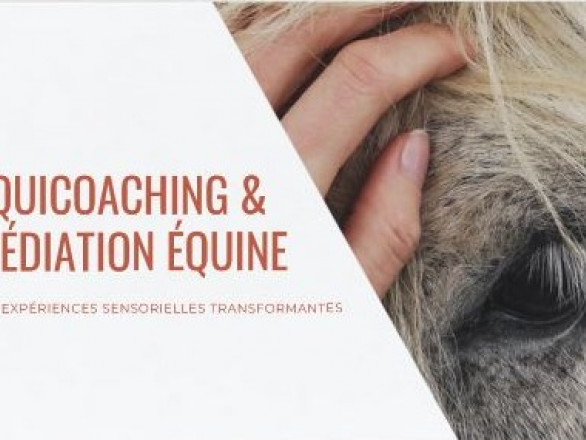 (Equi)Coaching - Grandeur Nature