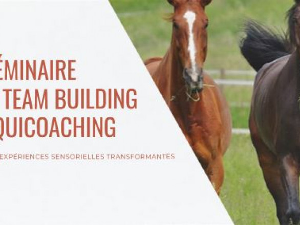 (Equi)Coaching - Grandeur Nature