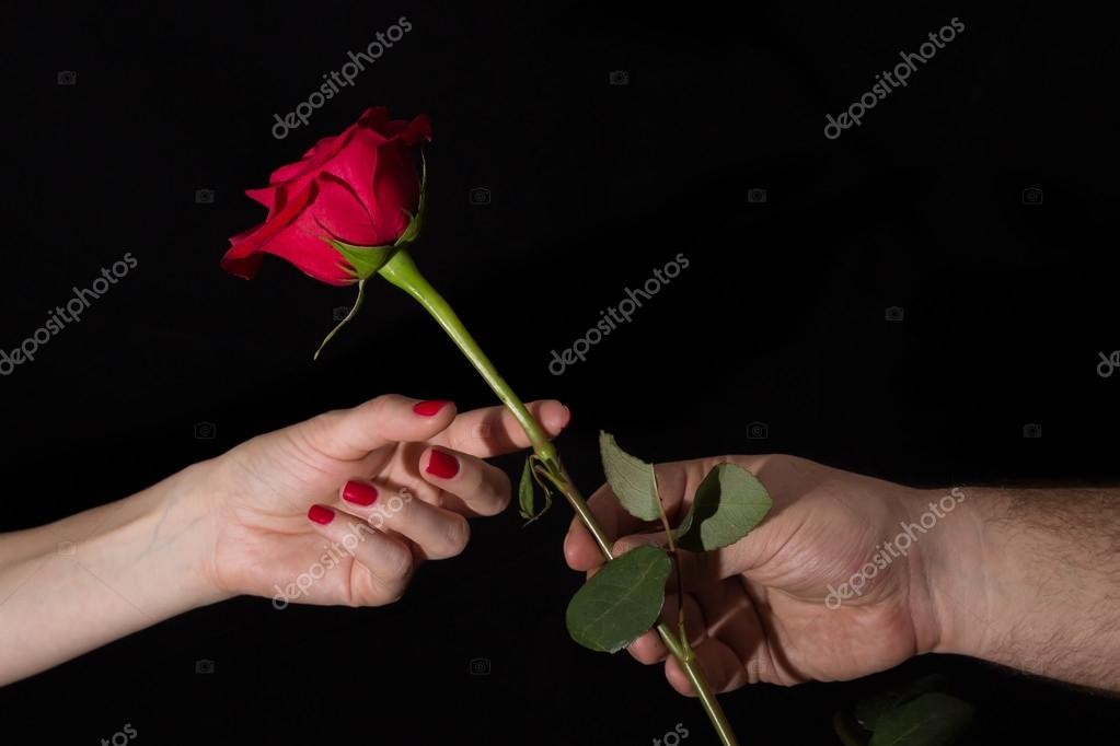 Une Rose pour Une Maman